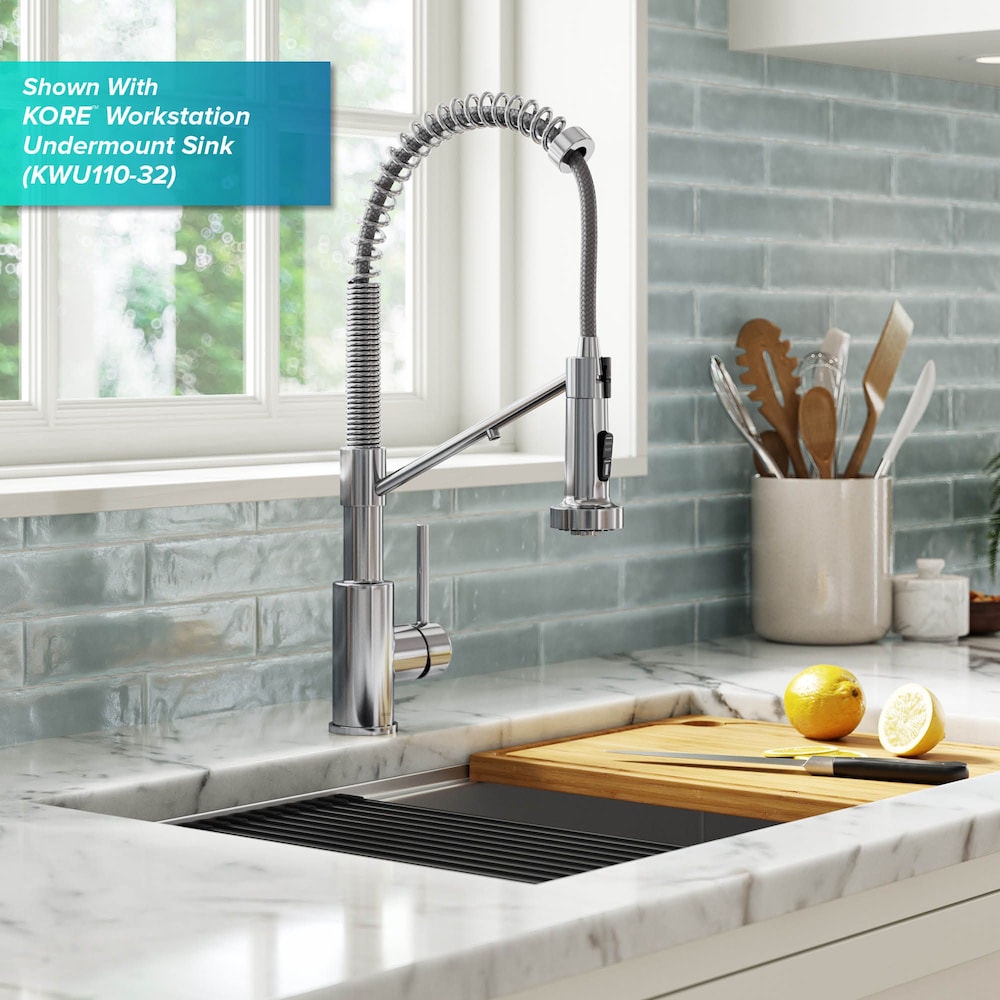 Bolden Pull-Down Single Handle Water Filter Faucet in Chrome