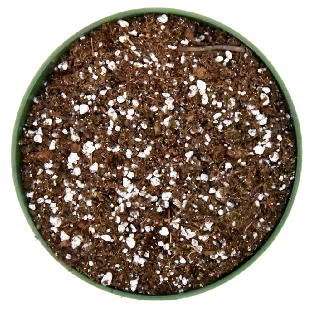84.9L Sunshine Mix #4 Aggregate Plus Professional Growing Mix Potting Soil