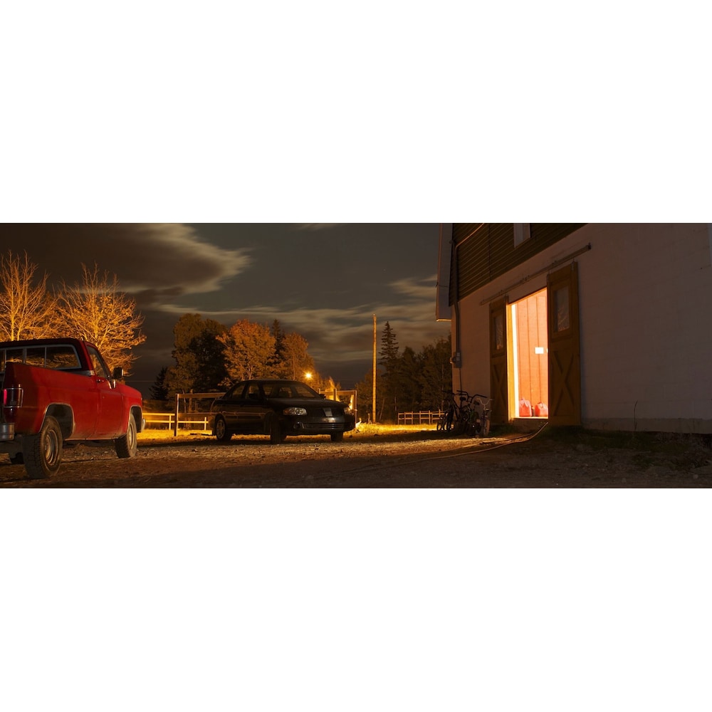 1000-Watt Eq CornCob E26 Base w/E39 Mogul Adaptor High Output LED Light Bulb 5000K Daylight (4-Pack)