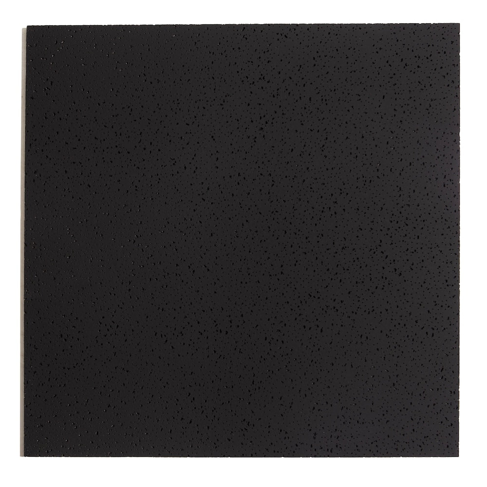 2 ft. x 2 ft. Radar 2210 Black Lay-in Ceiling Tile (Sold by Case - Pack of 16)