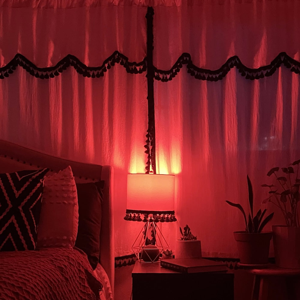 Ampoule LED à filament à intensité variable en verre transparent rouge de 4,5 W à culot E26 A19 (lot de 6)