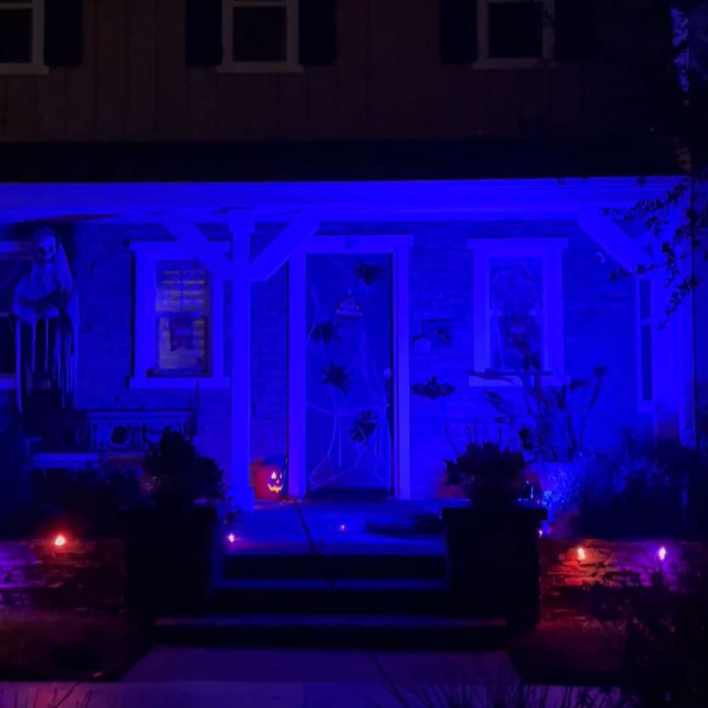 7-Watt PAR38 E26 Base Blue Non-Dimmable Reflector LED Light Bulb (4-Pack)