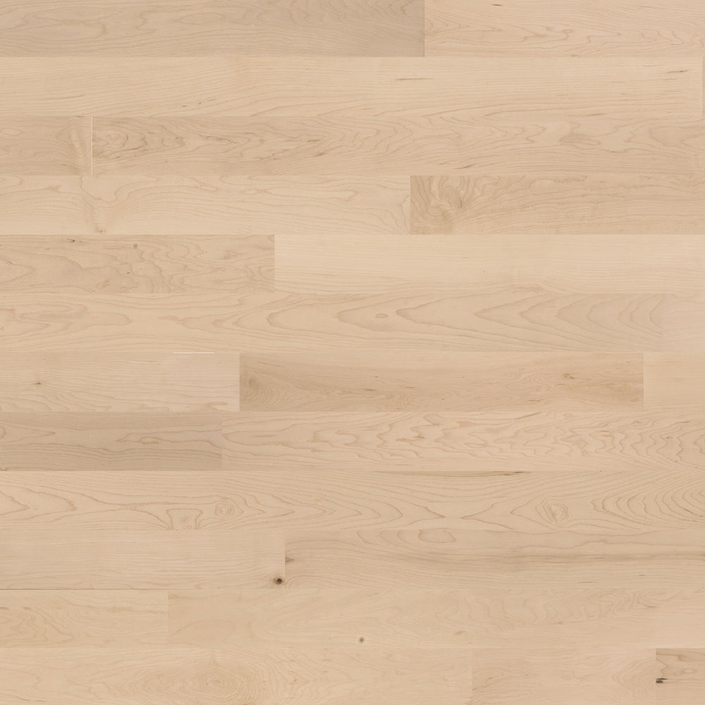 Sample Maple Tremblant Hardwood flooring 3.25-inch x 6-inch