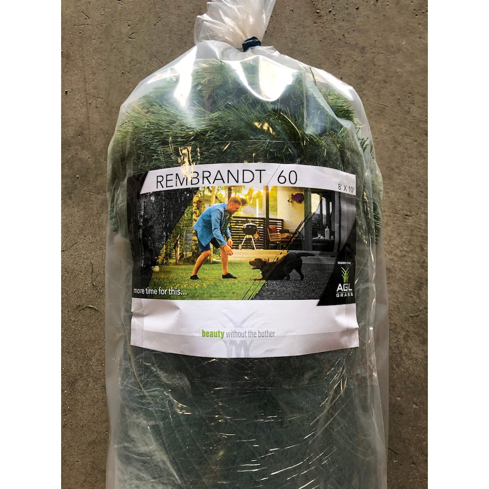 AGL Grass Rembrandt 60 - 8 ft. x 10 ft. Artificial Grass Mat for Outdoor Landscape