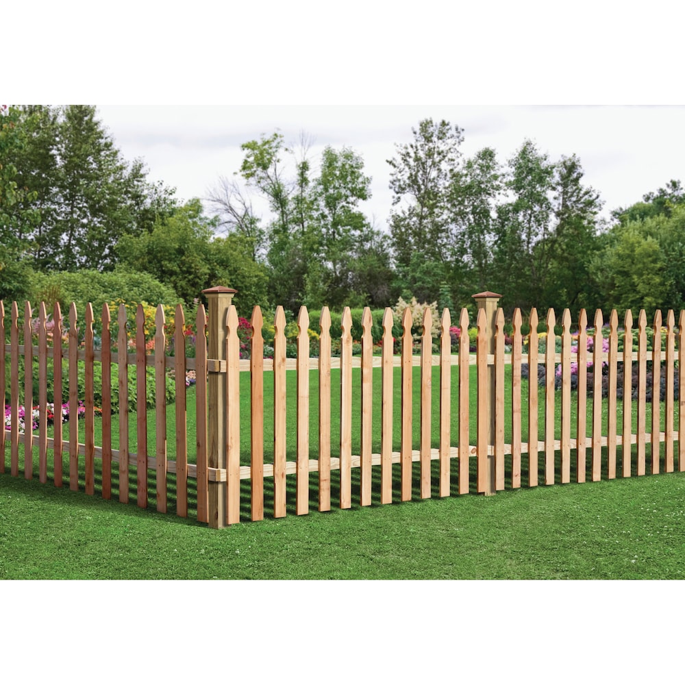 2 in. x 4 in. x 8 ft. Rough Sawn Western Red Cedar Fence Panel Backer Rail (4-Pack)