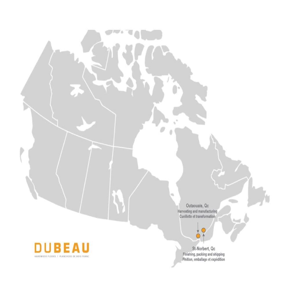 Solid Maple Flooring Rainier Matte ¾-inch Thick x 3¼-inches Wide x Varying Length (20 sq.ft. / case)