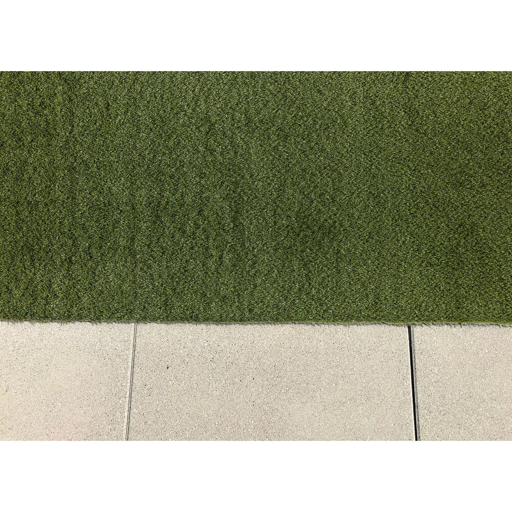 Soft Fescue 6 ft. 8 ft. Green Artificial Grass Rug