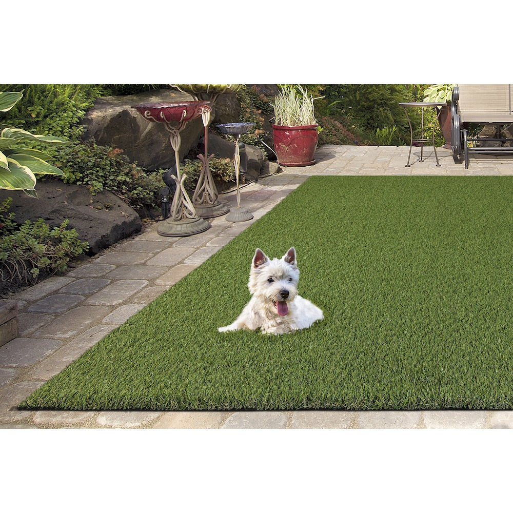 Soft Fescue 6 ft. 8 ft. Green Artificial Grass Rug