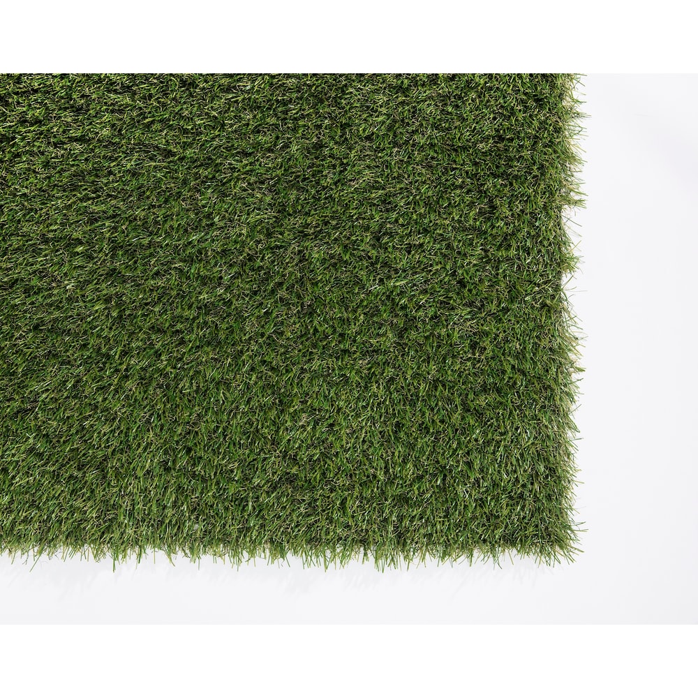 Soft Fescue 6 ft. 8 ft. Green Artificial Grass Rug