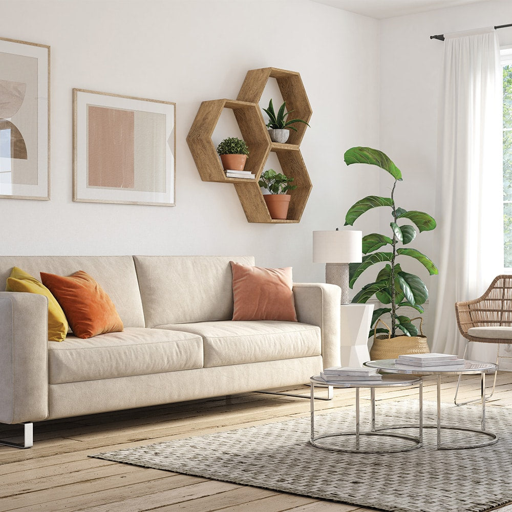 Planche de bouleau laminé de 1 pouce x 16 pouces x 3 pieds