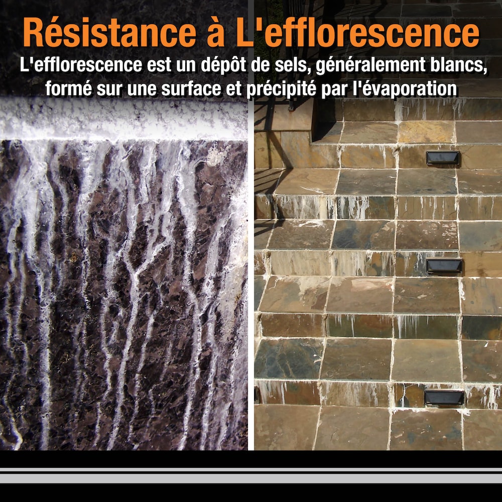 Polyblend Plus 10 lb. 641 Cool White Non-Sanded Enhanced Colour Grout for Interior and Exterior Locations