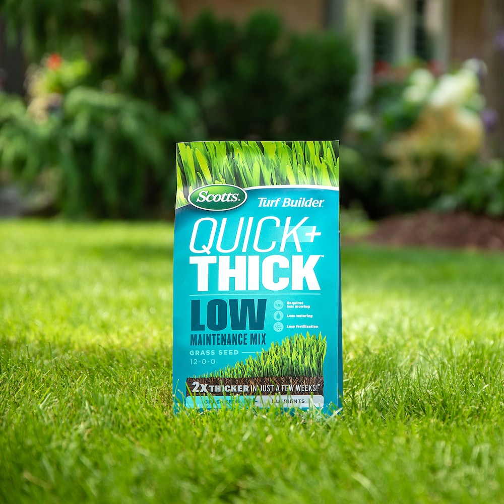 Mélange de semences de gazon Turf Builder Quick + Thick nécessitant peu d'entretien