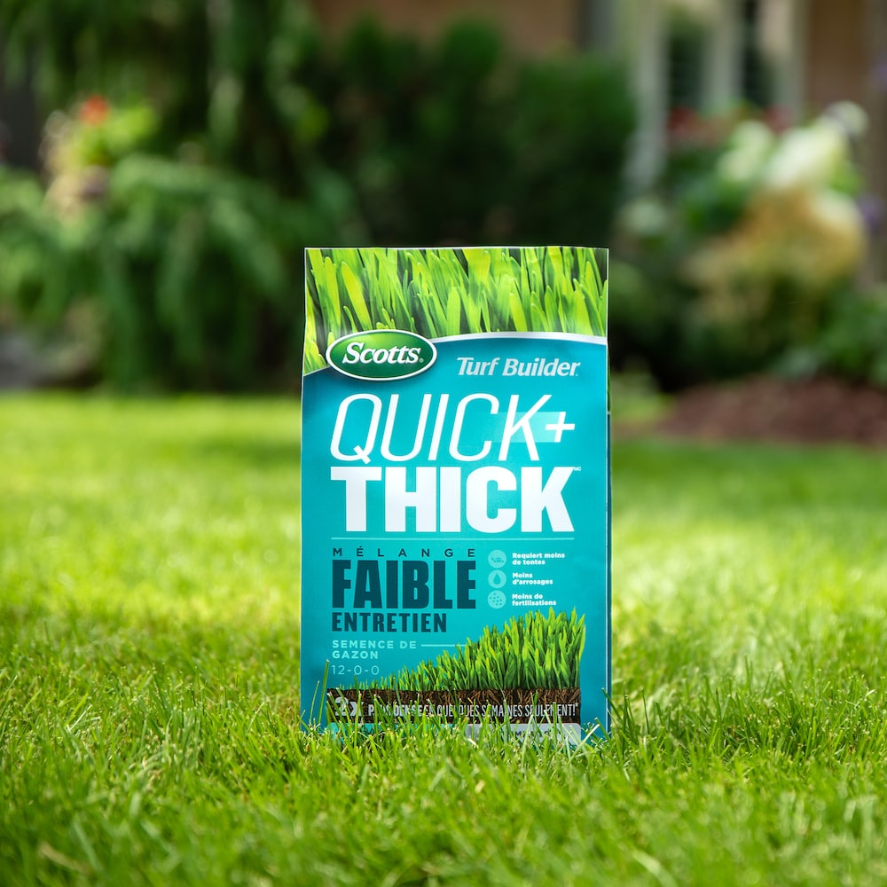 Mélange de semences de gazon Turf Builder Quick + Thick nécessitant peu d'entretien