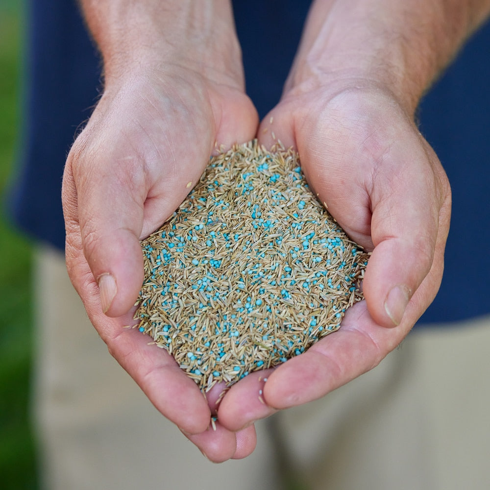 Mélange de semences de gazon Turf Builder Quick + Thick nécessitant peu d'entretien