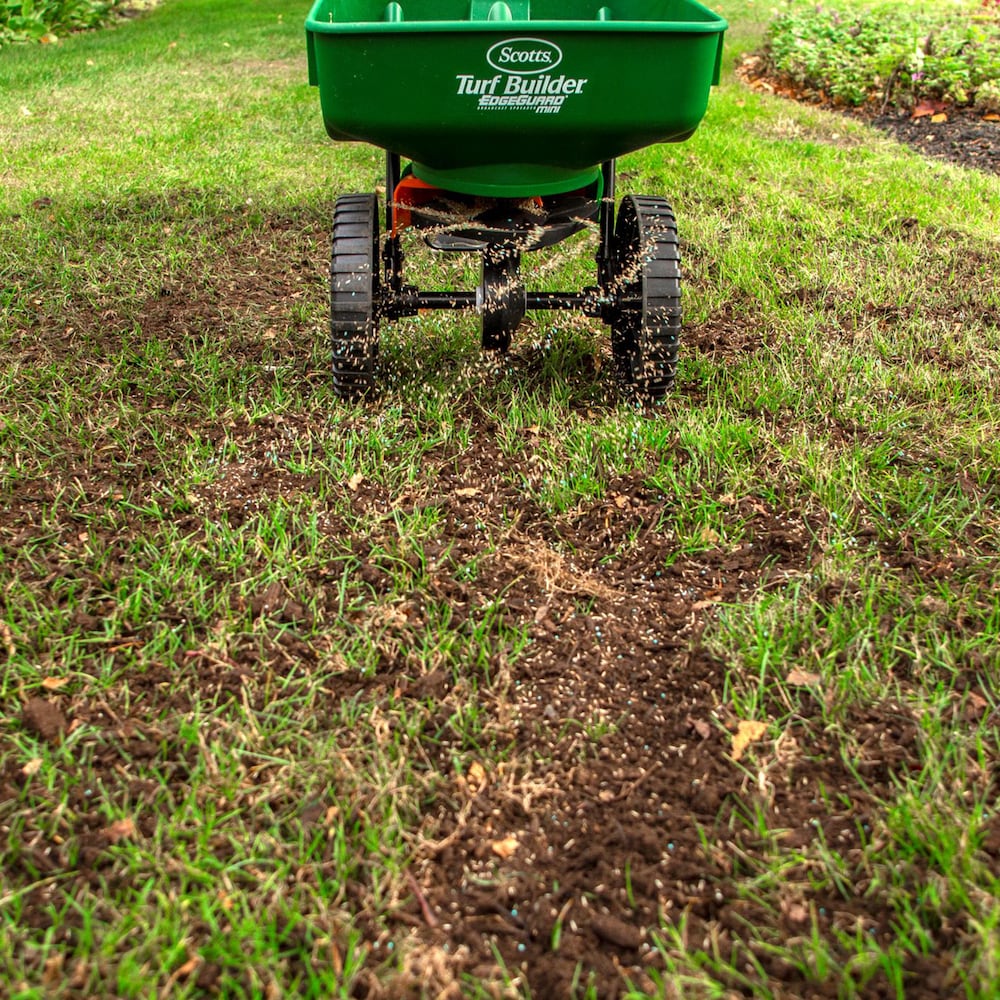 Mélange de semences de gazon Turf Builder Quick + Thick nécessitant peu d'entretien
