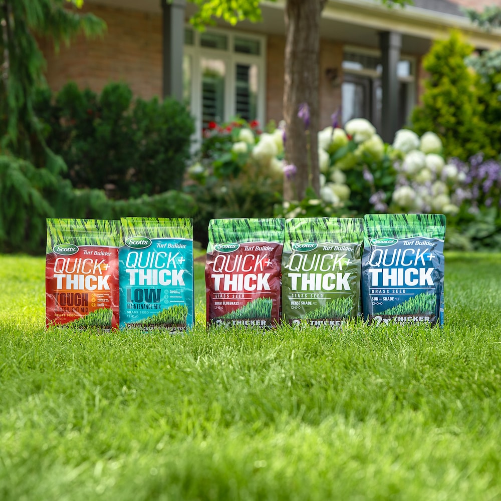 Mélange de semences de gazon Turf Builder Quick + Thick nécessitant peu d'entretien