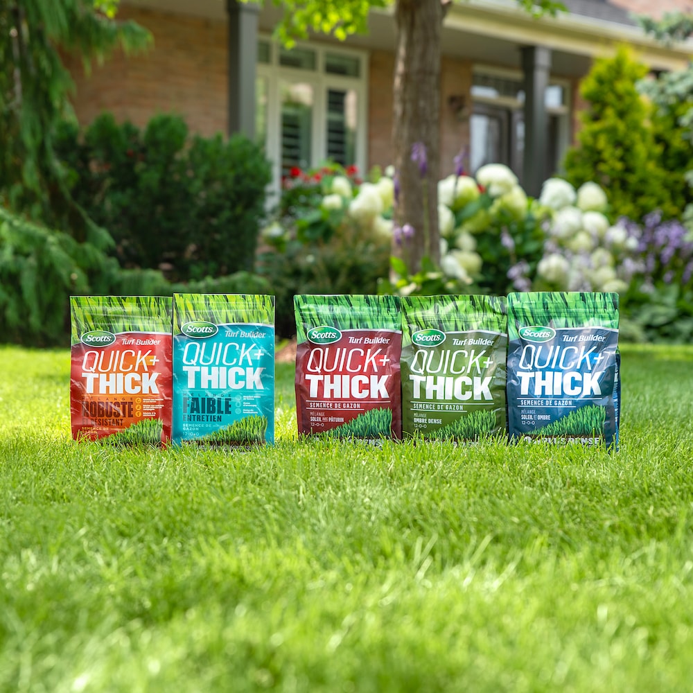 Mélange de semences de gazon Turf Builder Quick + Thick nécessitant peu d'entretien