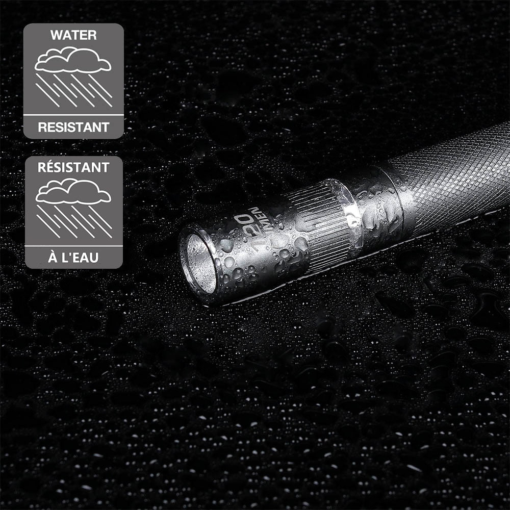 Lampe stylo LED en aluminium de 120 lumens avec fonction UV (2 piles AAA incluses)