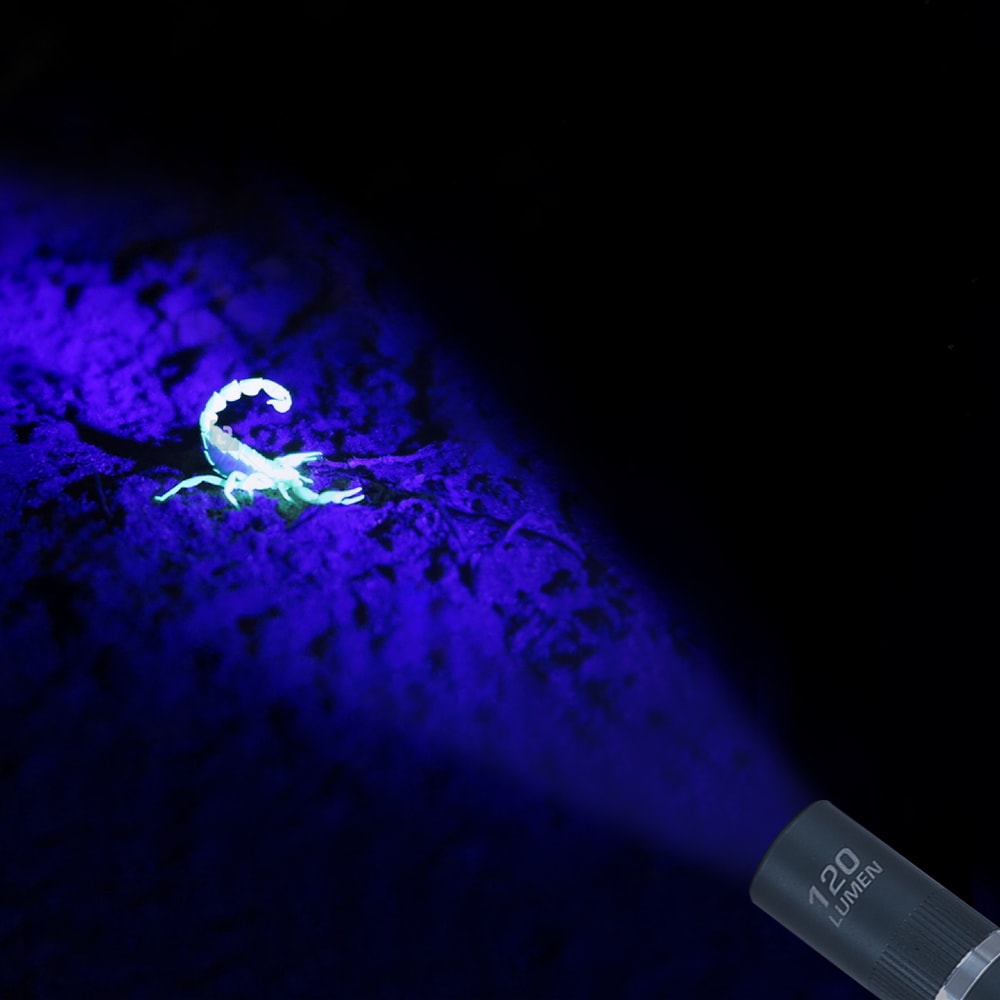 Lampe stylo LED en aluminium de 120 lumens avec fonction UV (2 piles AAA incluses)