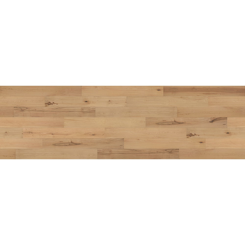 Échantillon de parquet contrecollé naturel Morning Maple 6 po x 6 po