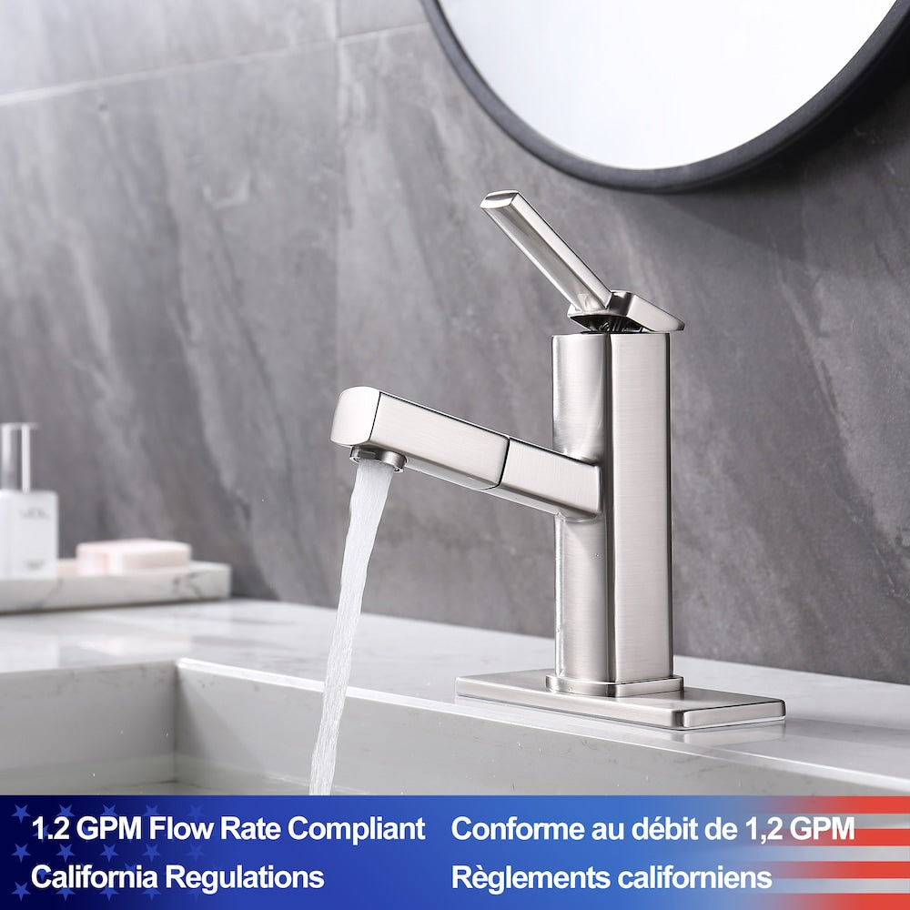D1 1-Handle Multifunctional Single Hole Bathroom Faucet in Brushed Nickel