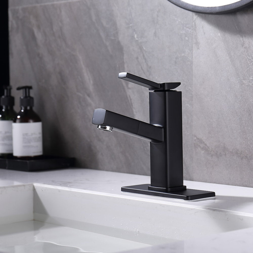 D1 1-Handle Multifunctional Single Hole Bathroom Faucet in Matte Black