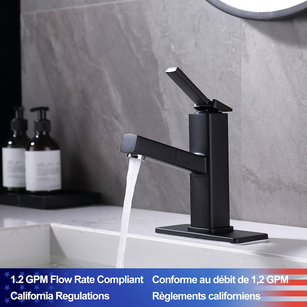 D1 1-Handle Multifunctional Single Hole Bathroom Faucet in Matte Black
