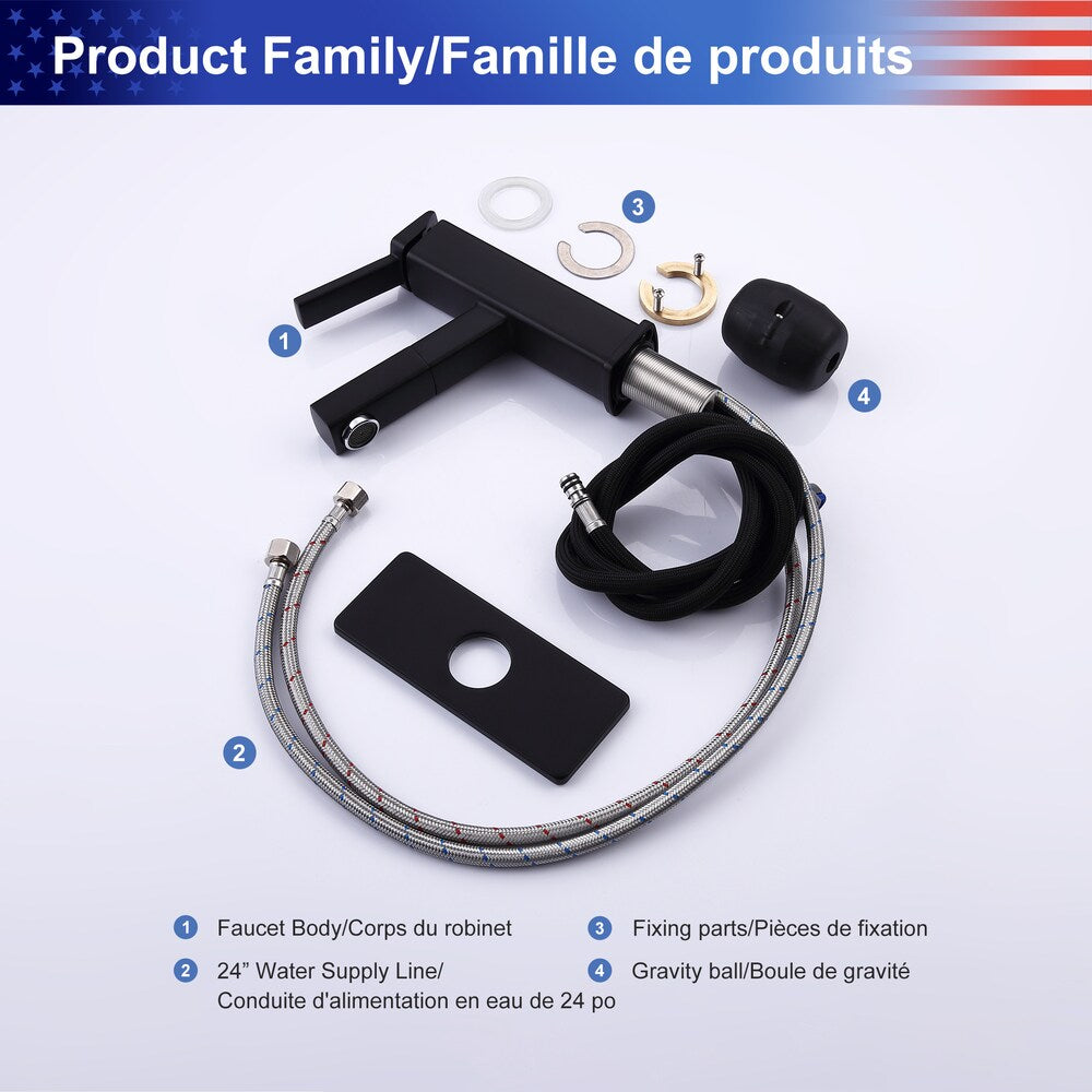 D1 1-Handle Multifunctional Single Hole Bathroom Faucet in Matte Black