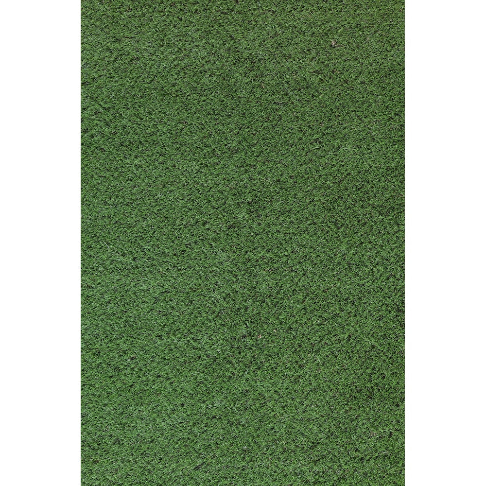 Soft Fescue 5 ft. x 7 ft. Green Artificial Grass Rug
