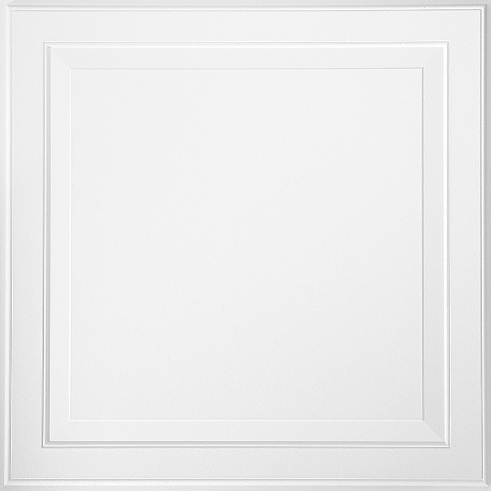 Armstrong Ceilings 2 feet. x 2 feet. Single Rasied Panel 1205 Lay-in Panel (Sold by Case - Pack of 6)