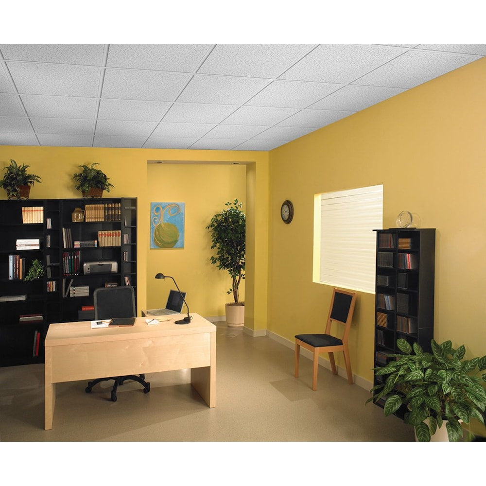 Armstrong Ceilings 2 ft. x 2 ft. Random Text. 934 Lay-in Ceiling Panel (Sold by Case - Pack of 16)