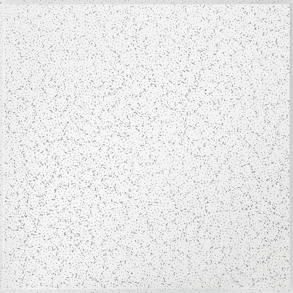 Armstrong Ceilings 2 ft. x 2 ft. Random Text. 934 Lay-in Ceiling Panel (Sold by Case - Pack of 16)