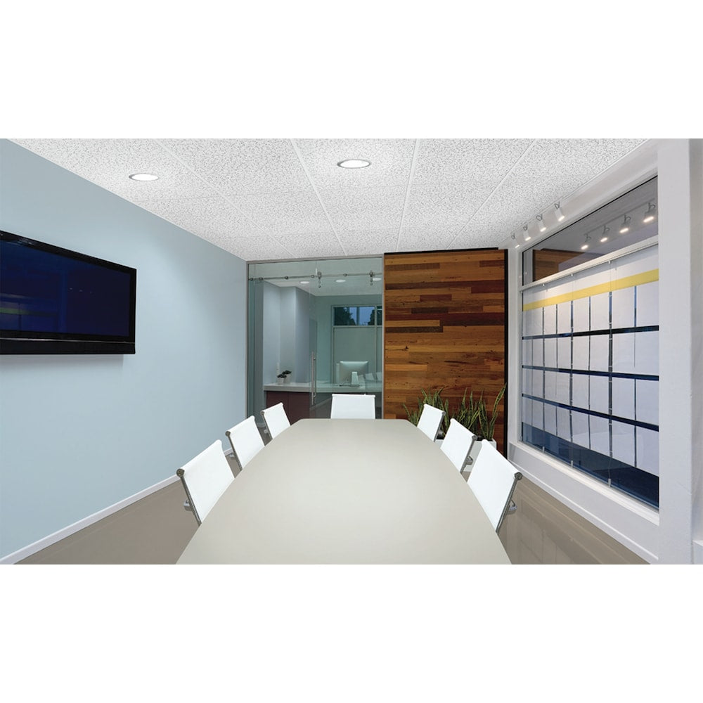 Armstrong Ceilings 2 ft. x 4 ft. Random Text. 933 Lay-in Ceiling Panel (Sold by Case - Pack of 10)