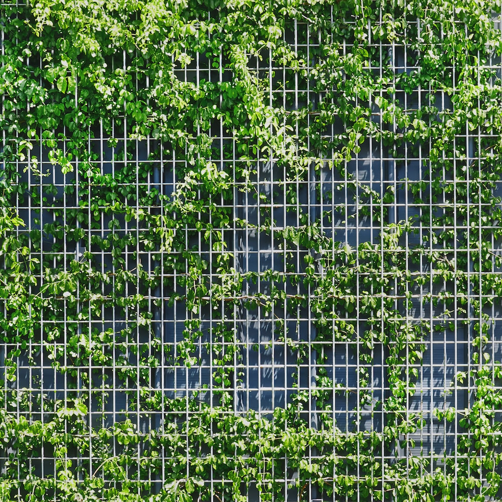 1 inch x 1/2 inch 3 ft. x 100 ft. 16-Gauge Galvanized Welded Fence