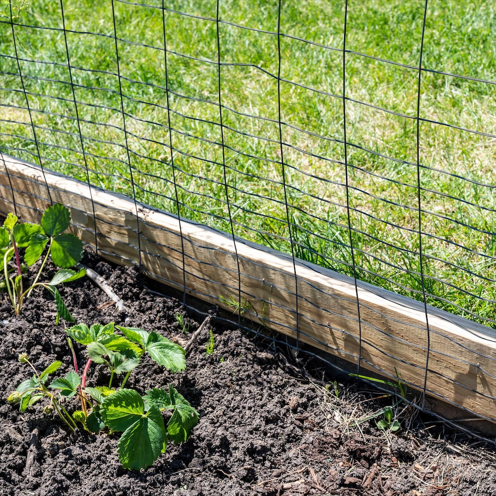 40-inch x 50ft. 16-Gauge Black PVC-Coated Rabbit Guard Fence