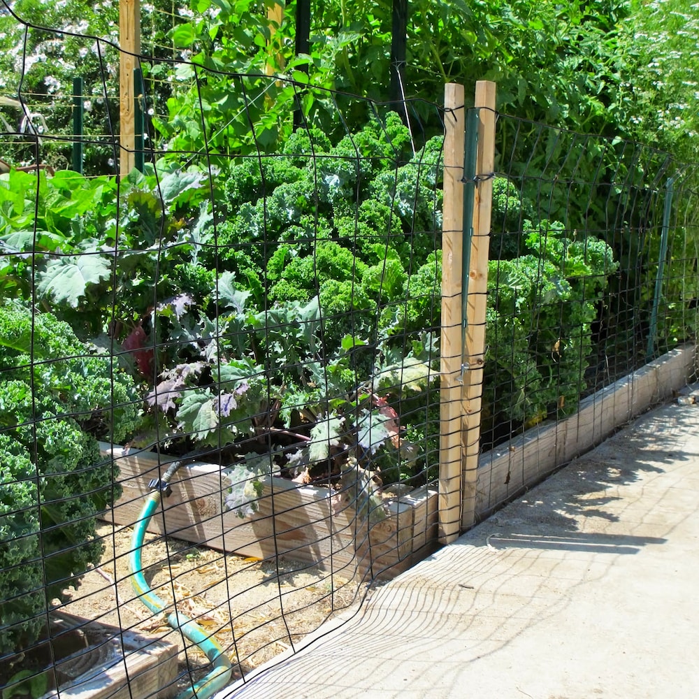 40-inch x 50ft. 16-Gauge Black PVC-Coated Rabbit Guard Fence