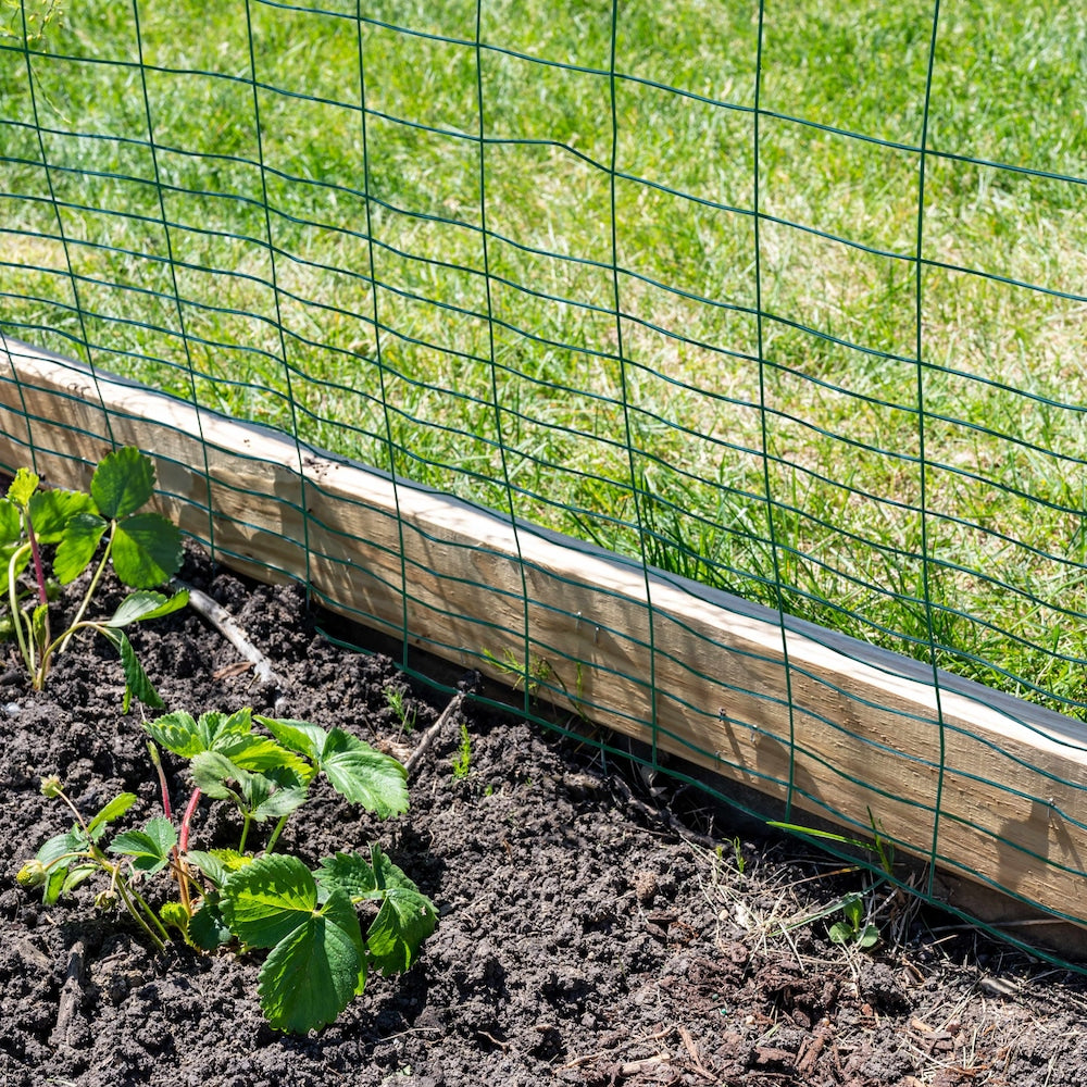 40-inch x 50ft. 16-Gauge Green PVC-Coated Rabbit Guard Fence