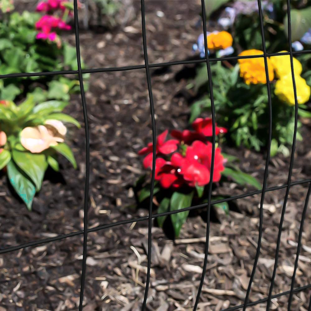 3 feet. x 50 feet. 16-Gauge Black PVC Coated Welded Wire Fence with Mesh Size 3 inch x 2 inch