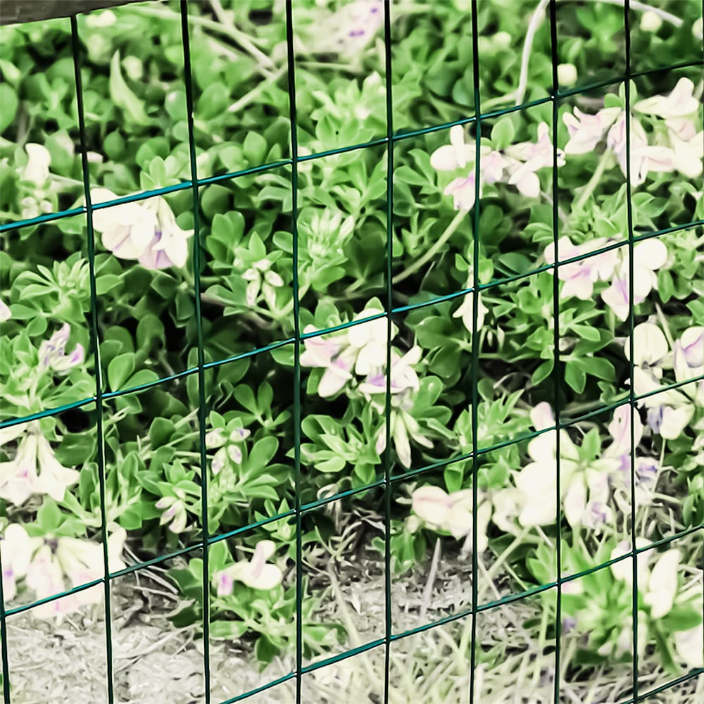 5 feet. x 50 feet. 16-Gauge Green PVC Coated Welded Wire Fence with Mesh Size 3 inch x 2 inch