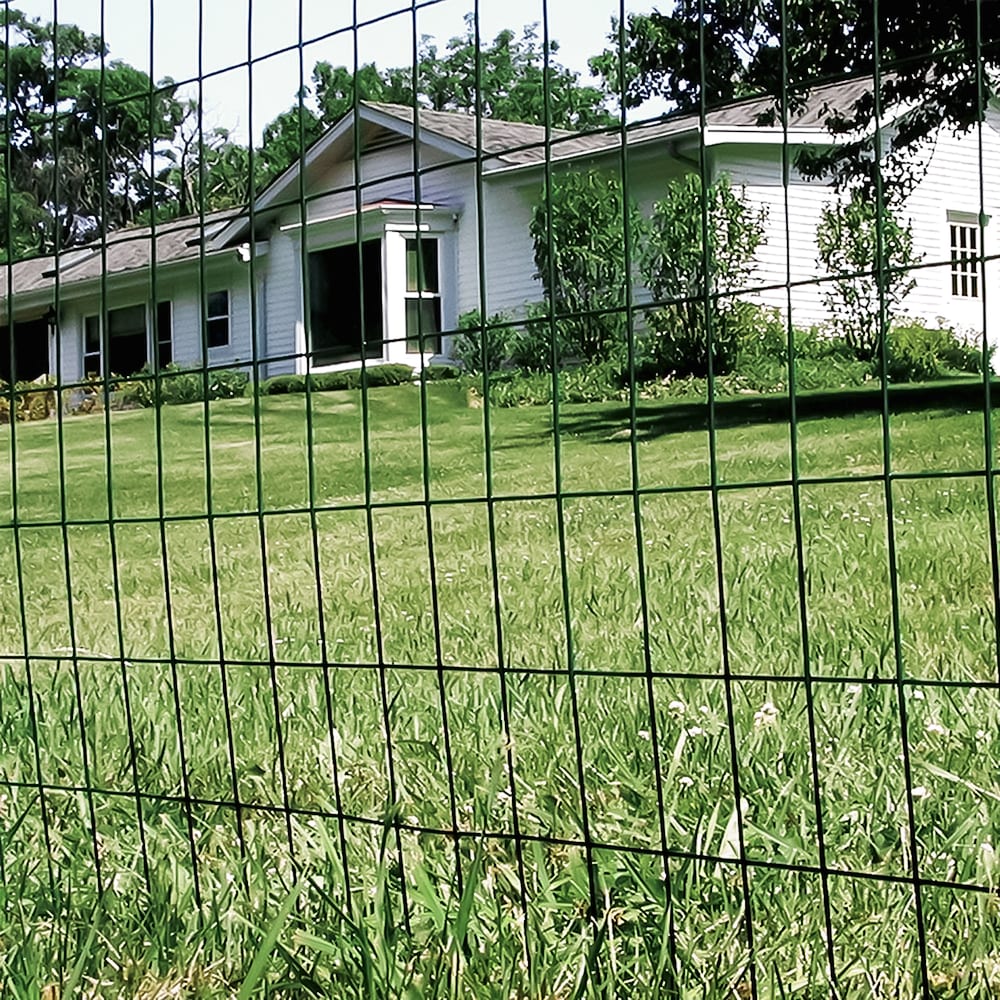6 feet. x 50 feet. 16-Gauge Green PVC Coated Welded Wire Fence with Mesh Size 3 inch x 2 inch