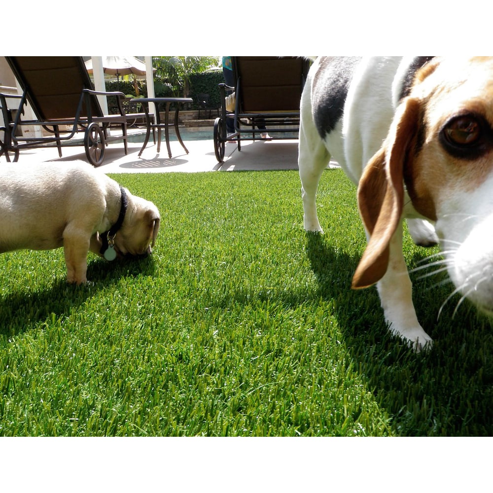 Pet Elite 3ftx5ft Artificial Grass For Outdoor Landscaping