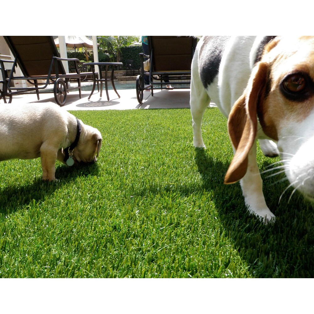 Pet Elite 5ftx10ft Artificial Grass For Outdoor Landscaping