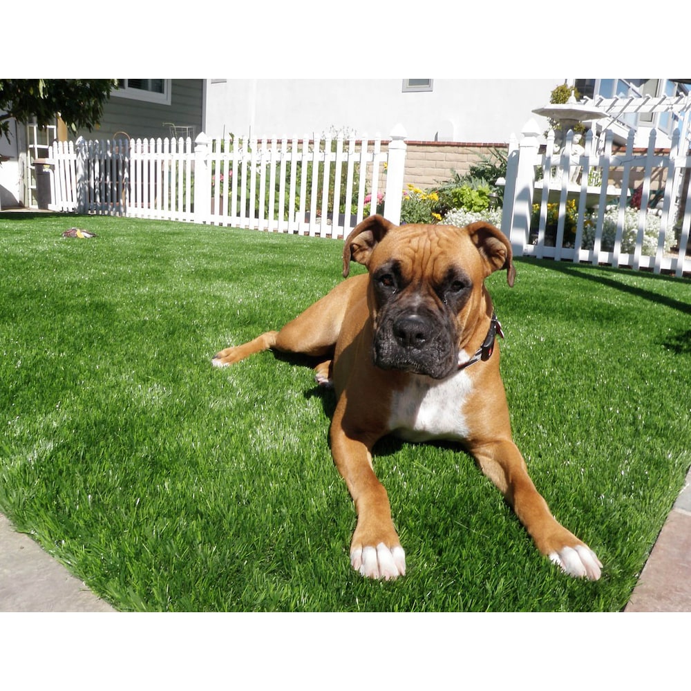 Pet Elite 5ftx10ft Artificial Grass For Outdoor Landscaping