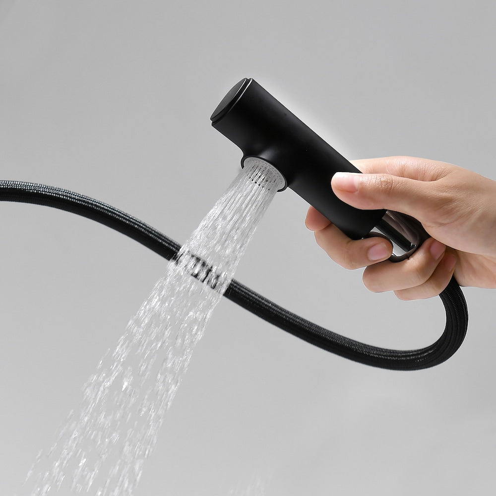 WBF2 Matte Black Single Hole Bathroom Sink Faucet with Single Handle and Pull Out Sprayer