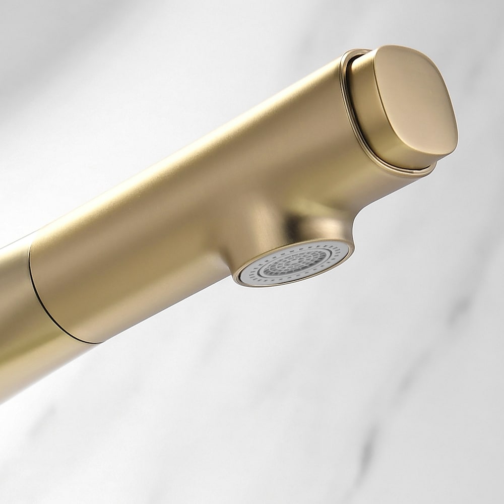 WBF2 Brushed Gold Single Hole Bathroom Sink Faucet with Single Handle and Pull Out Sprayer