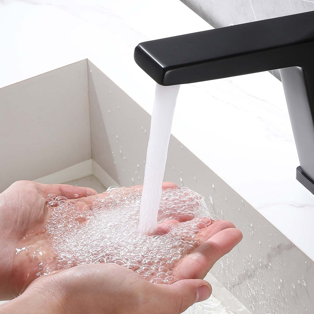 WBF4 Matte Black Single Hole Bathroom Sink Faucet with Single Handle