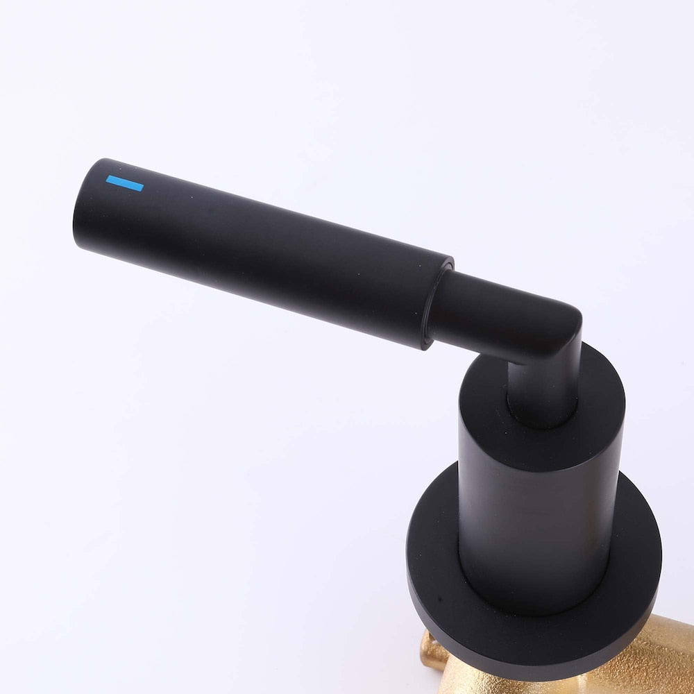 WBF18 Wall Mount Bathroom Sink Faucet with 2 Handle in Matte Black