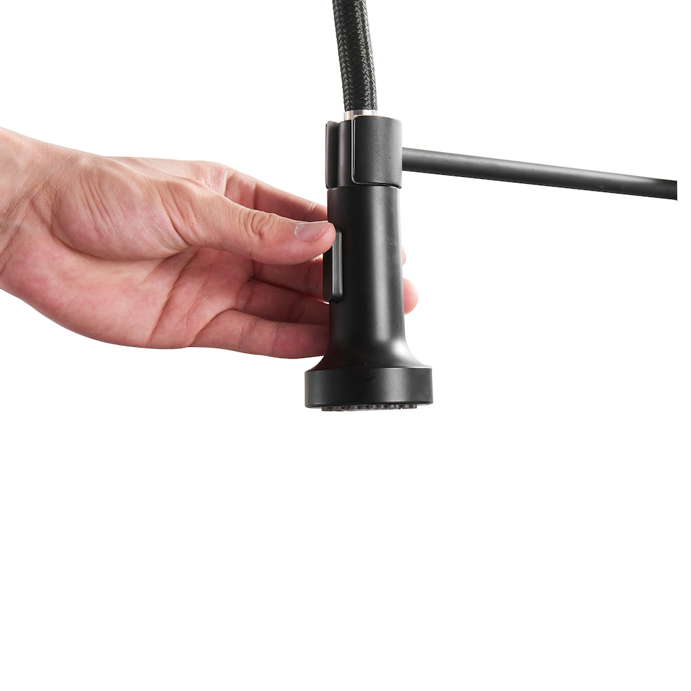 QZ1 Single-Handle Pull-Down Sprayer Kitchen Faucet in Matte Black