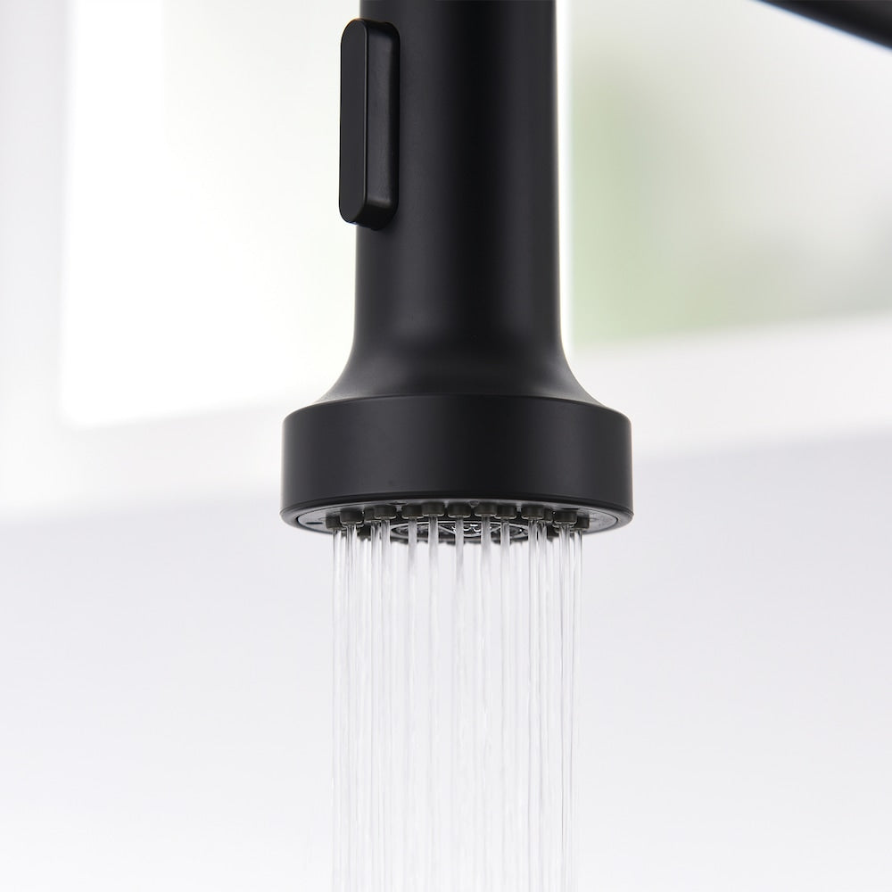 QZ1 Single-Handle Pull-Down Sprayer Kitchen Faucet in Matte Black