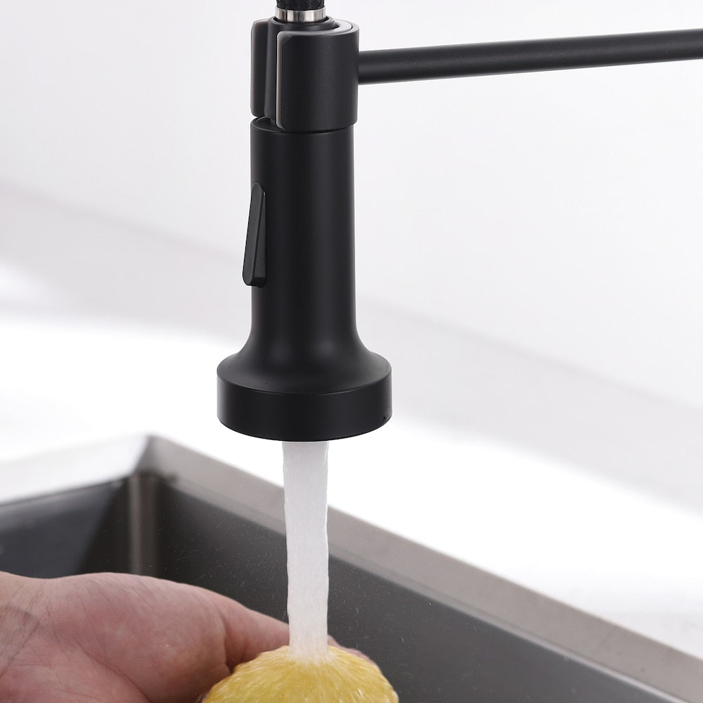 QZ1 Single-Handle Pull-Down Sprayer Kitchen Faucet in Matte Black